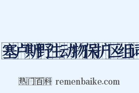 塞卢斯野生动物保护区组词是什么意思的图片
